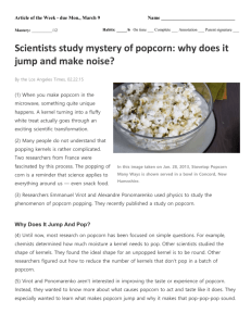 15 – Popcorn - Citizens Leadership Academy