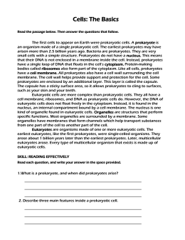 Worksheets Prokaryotes Vs Eukaryotes Worksheet prokaryote vs eukaryote worksheet cells the basics