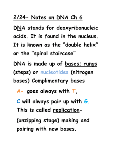 DNA and RNA Notes 2/25