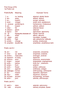 Word Root list from Mr