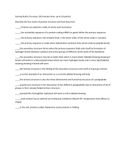 Pikachurin protein essay 08 picture