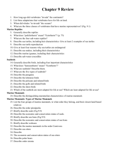6-7 Study Guide