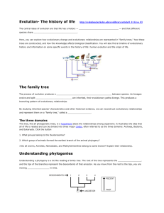 Understanding phylogenies