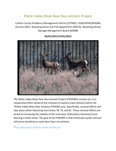 Platte Valley Mule Deer Recruitment Project