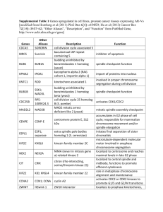 Supplemental Table 1 Genes upregulated in cell lines, prostate
