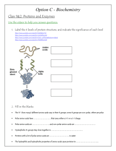 Biochemistry Activities for Learning Option C