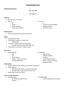 Histopath Revision Notes
