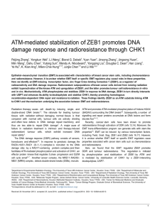 ATM-mediated stabilization of ZEB1 promotes DNA damage