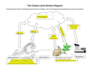Carbon Cycle Review Diagram