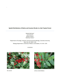 Spatial Distributions of Native and Invasive Shrubs in a Sub