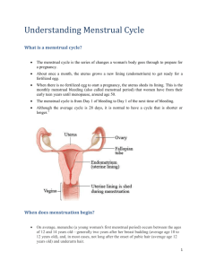 What is a menstrual cycle?
