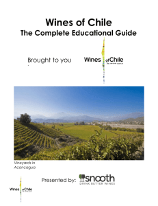 Learn More About Chilean Wine