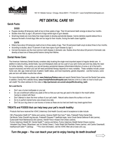 Pet Dental Care 101 11.11