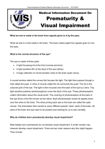 Prematurity & VI - Visual Impairment Network Children Young