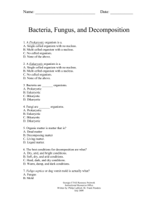 Bacteria Fungi Decomposition Test