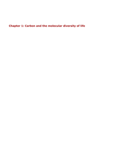 Chapter 1 Carbon and the molecular diversity of life - An