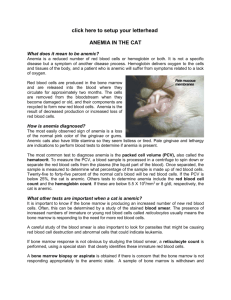 ANEMIA IN THE CAT