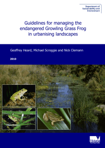 Guidelines for managing the endangered Growling Grass Frog