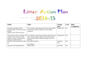 litter action plan2014 ST. MICHAEL