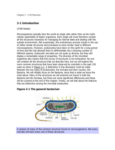Chapter 2 – Cell Structure