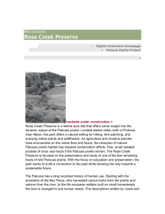 Rose Creek web site - Washington State University