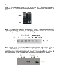Supplemental Figure 1: Total RNA extracted from H9 hESC cells