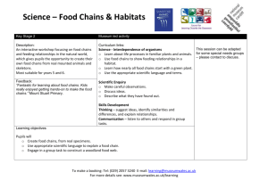 Science – Food Chains & Habitats Key Stage 2 Museum led activity