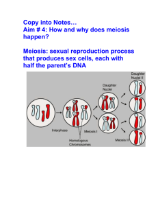 Aim # 4: How and why does meiosis happen