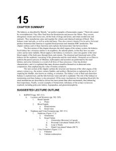 Chapter 15 Outline - Navarro College Shortcuts
