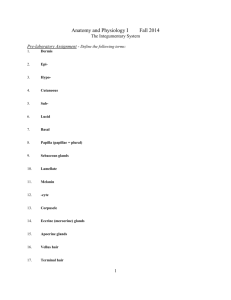 Anatomy and Physiology I Fall 2014 The Integumentary System Pre