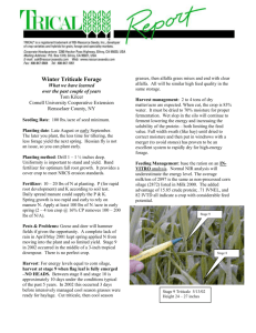 Tom Kilcer: Winter Forage Triticale What We Have Learned