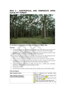 Eucalypt Open Forests - Department of the Environment