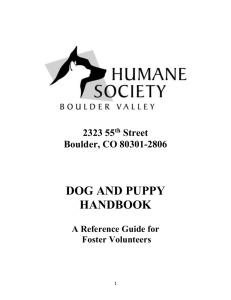Dog Foster Care Manual - The Pet Foster Network