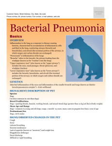 bacterial_pneumonia