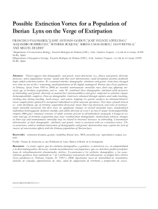 Possible Extinction Vortex for a Population of Iberian Lynx on the