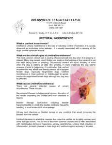 Urethral Incontinence - Briarpointe Veterinary Clinic