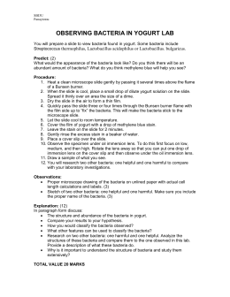 Who discovered antibiotics image