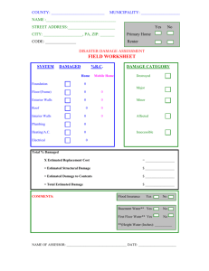 Individual Damage Assessment Form