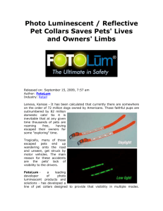 Photo Luminescent / Reflective Pet Collars Saves Pets` Lives and