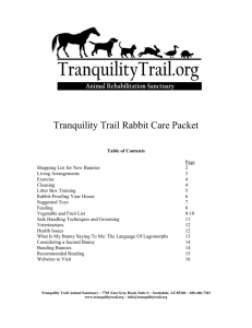 Tranquility Trails Rabbit Information Packet
