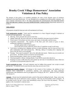 August 2008 Revised Violations Policy