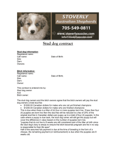 Stud dog contract