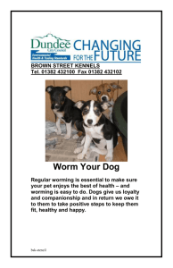 Worm Your Dog - Dundee City Council