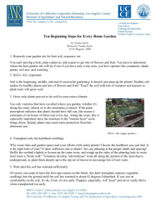Ten Beginning Steps for Every Home Garden