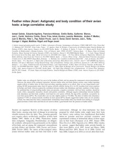 Feather mites (Acari: Astigmata) and body condition of their avian