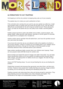 ALTERNATIVES TO CAT TRAPPING Cat trapping is not the only