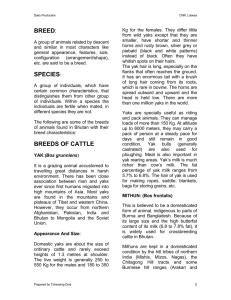 Breeds of Cattle