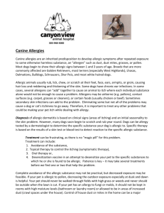 Canine Allergies - Canyon View Animal Hospital