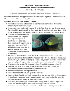2015 Week 11 - Fish behavioral ecology--memory and