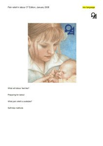 Pain relief in labour 3rd Edition, January 2008 xxx language What